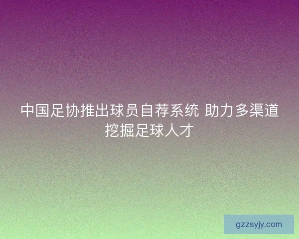 中国足协推出球员自荐系统 助力多渠道挖掘足球人才