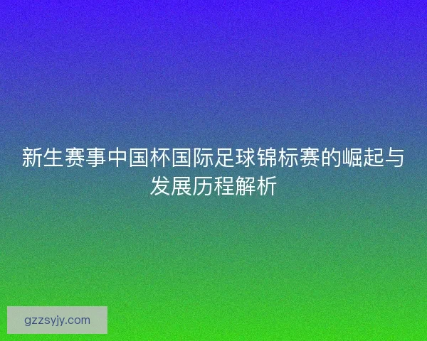 新生赛事中国杯国际足球锦标赛的崛起与发展历程解析