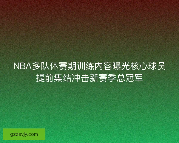 NBA多队休赛期训练内容曝光核心球员提前集结冲击新赛季总冠军